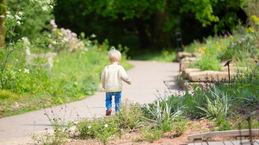 Young child walking a pathway in the garden at Sheffield Park